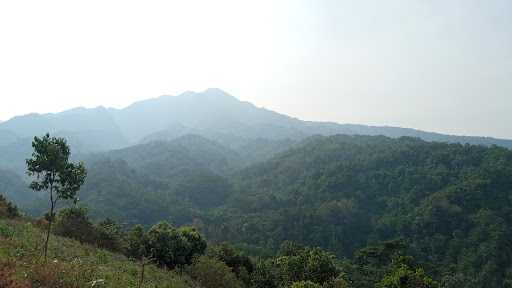 Warung Kandang Ayam 9