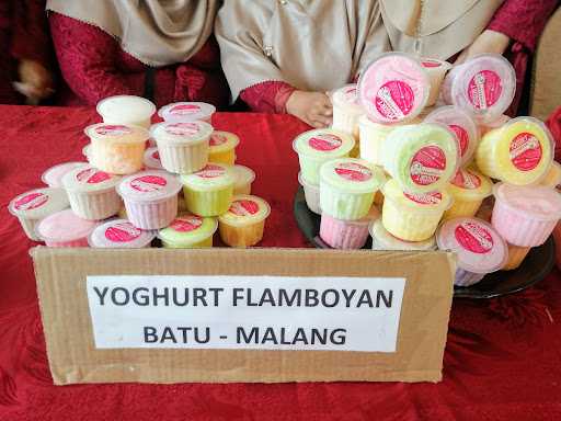 Yoghurt Flamboyan Batu 5