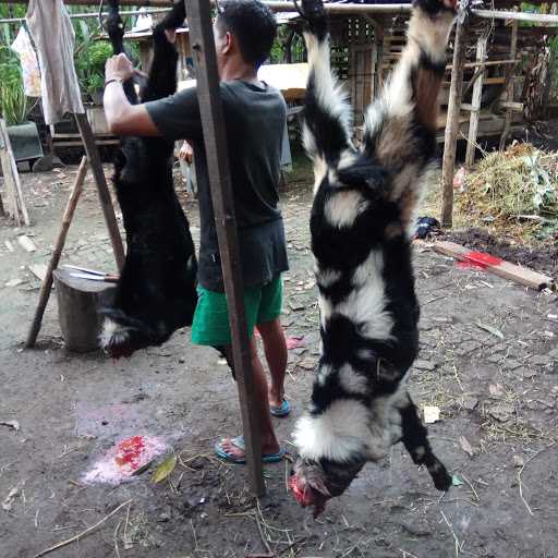 Hakekah Betawi Cing Roy 4