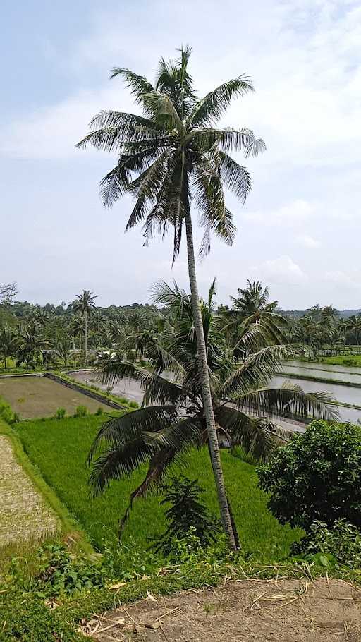 Lantan View 2