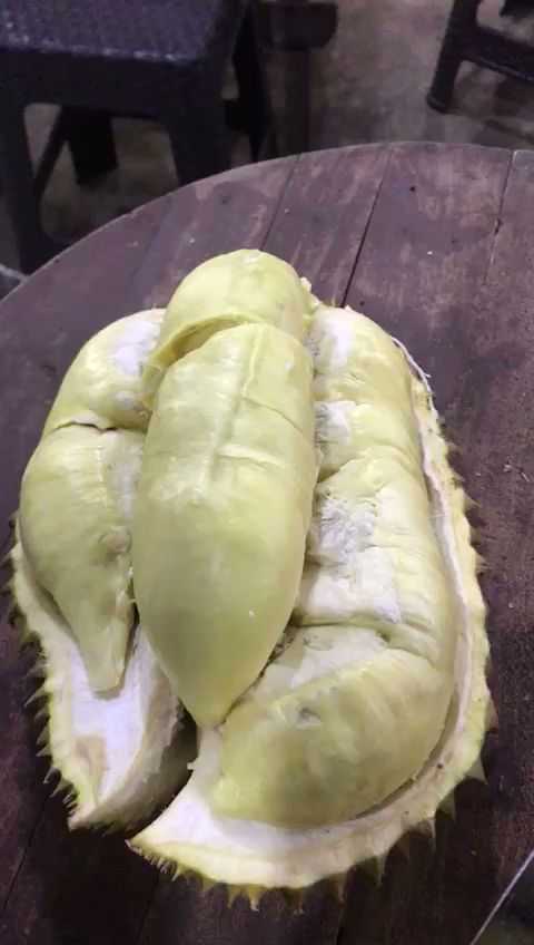 Durian Lovers Bandung 8