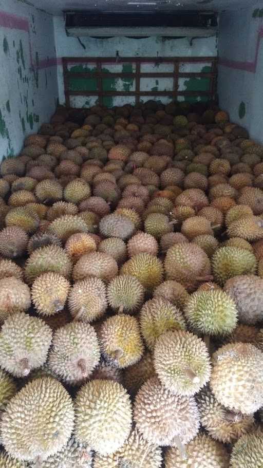 Durian Lovers Bandung 2