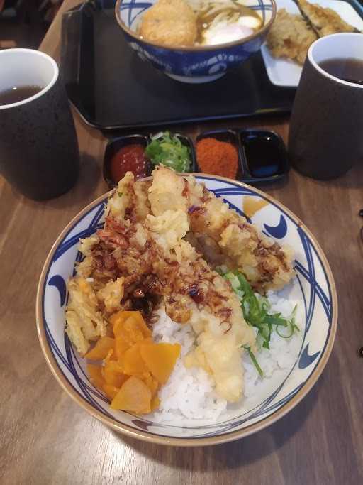 Marugame Udon Tsm 10