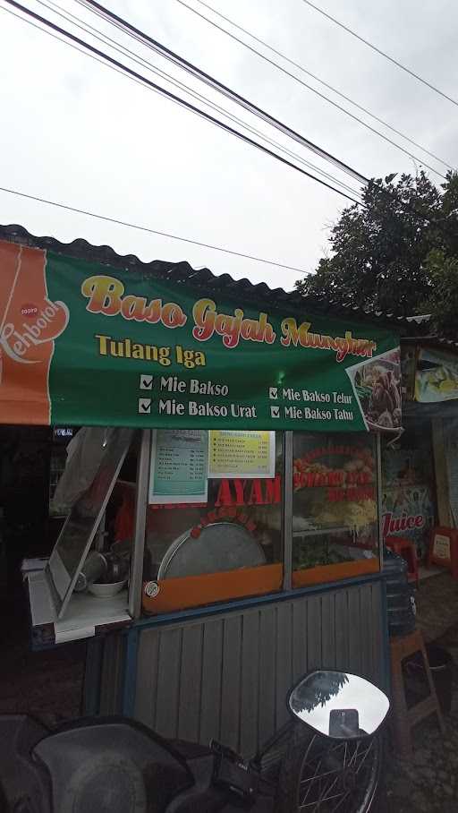 Bakso Gajah Mungkur 1