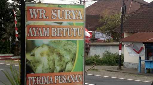 Wr. Surya Ayam Betutu 5