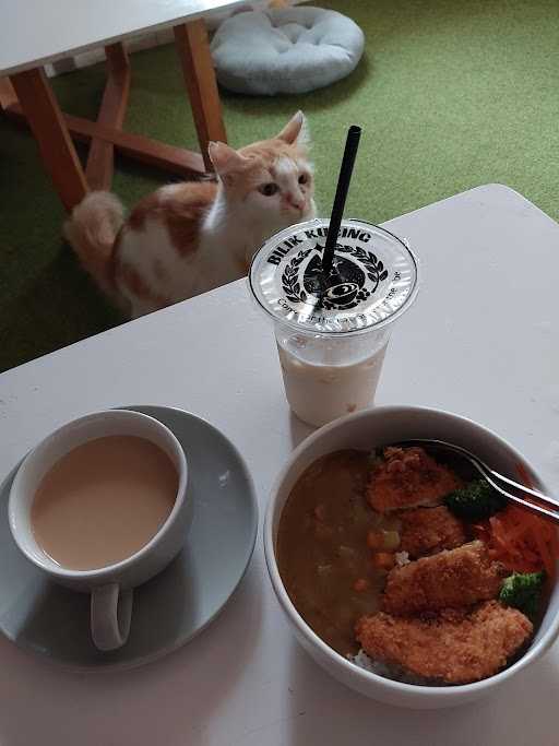 Bilik Kucing Cat Cafe 2