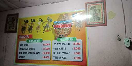 Mie Ayam Bakso Pandowo 10