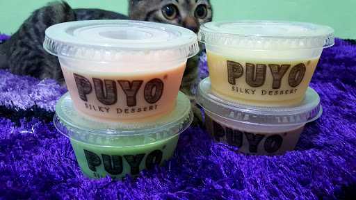 Puyo Silky Dessert Margo City 4