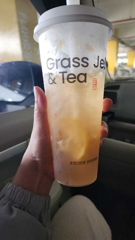 Shuyi Grass Jelly - Margo City 10