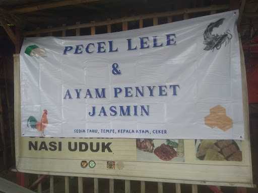 Pecel Lele Jasmin 4