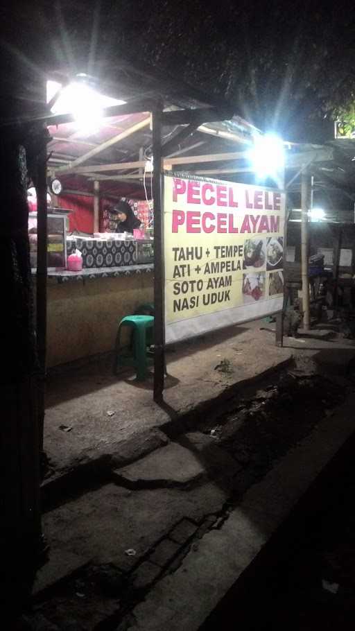 Pecel Lele Jasmin 3