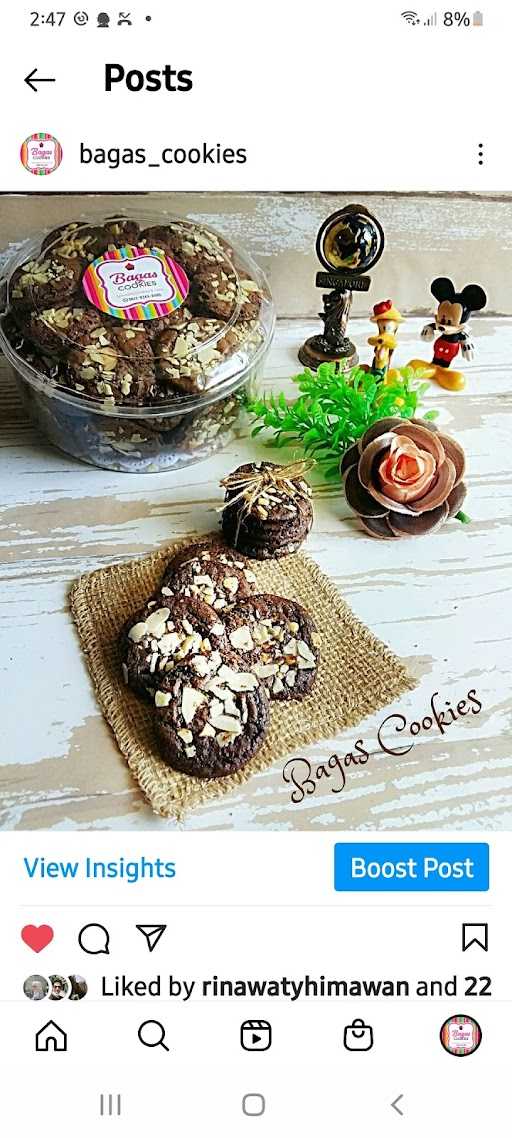 Bagas Cookies 3