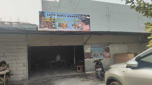 Lapo Auris Manurung 2