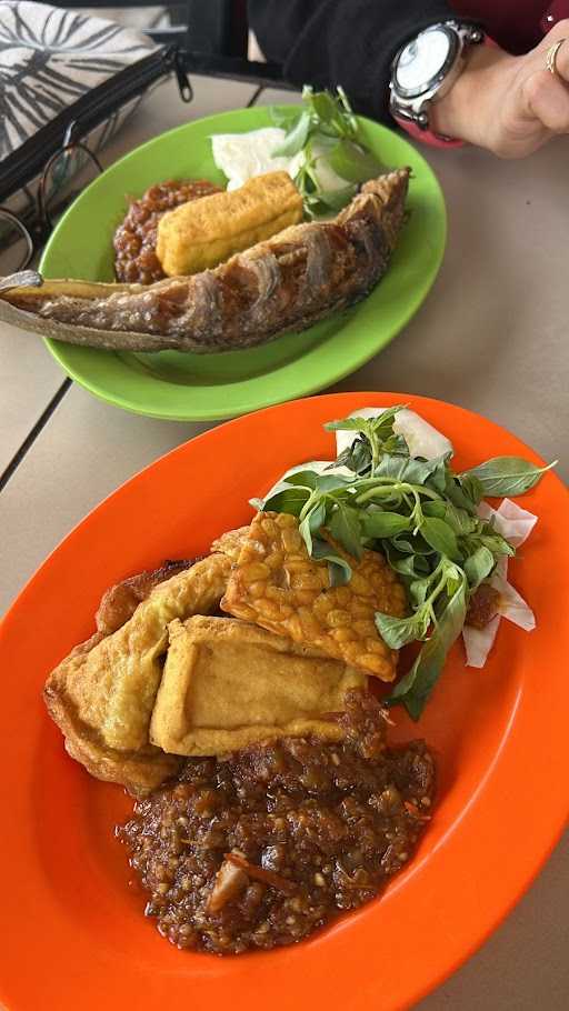 Bakso & Ayam Penyet Putra Jogja 10