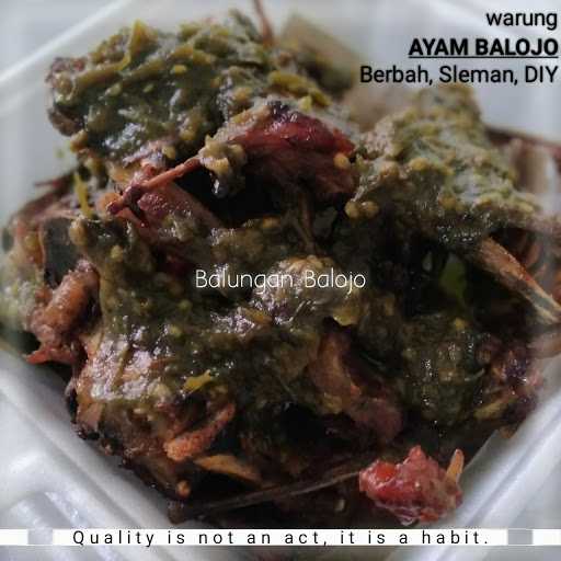 Ayam Balojo 8