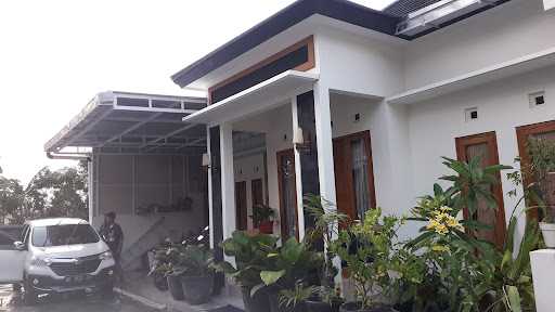 Rumah Nutrisi Vanesha Herbalife 3