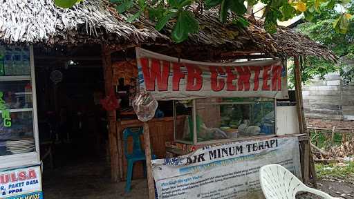 Wfb Centre Public Opinion 1