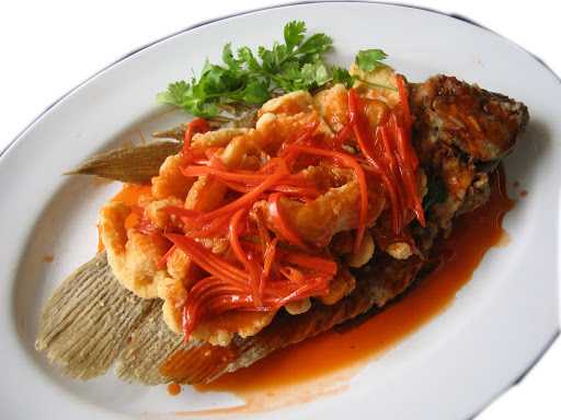 Seafood Terserah 8