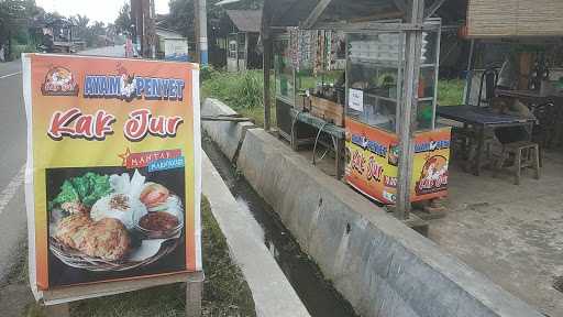 Ayam Penyet Kak Jur 10