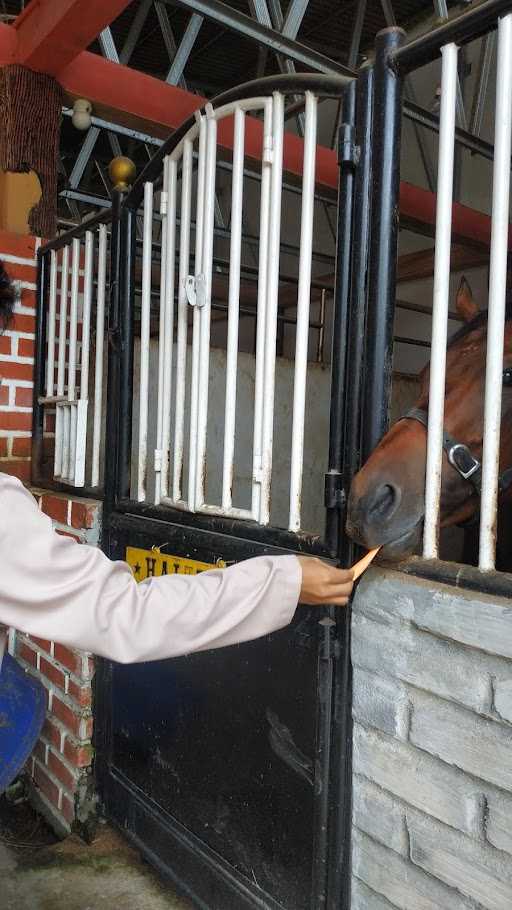 Biestro Stable Binjai ( Taman Berkuda Dan Memanah Binjai ) 7