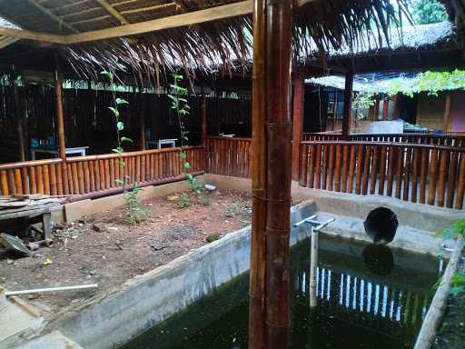 Pondok Bambu Merak Jingga 8