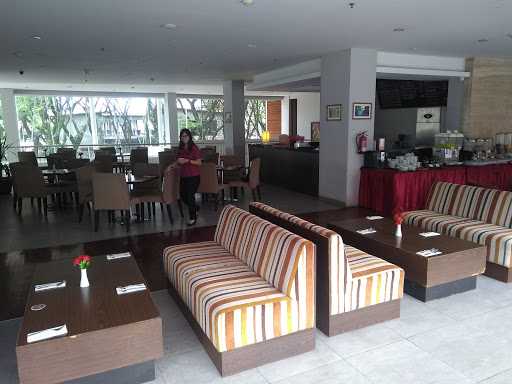 Pinus Bar 2