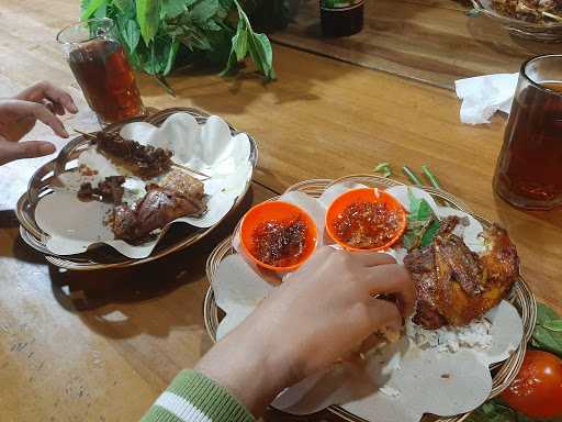 Ayam Cipo Gunungbatu 9