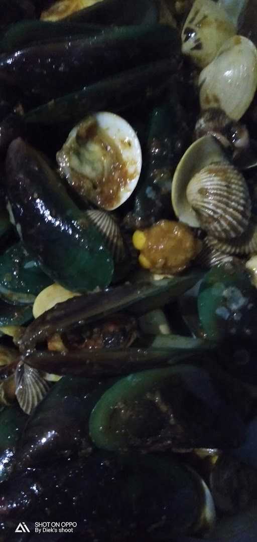 Bos Kerang 8