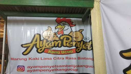 Ayam Penyet Kang Ucup 8