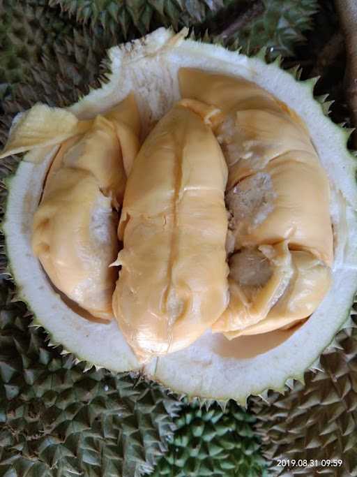 Kampung Durian Rancamaya 1