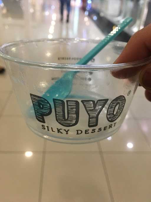 Puyo Silky Desserts - Botani Square 4