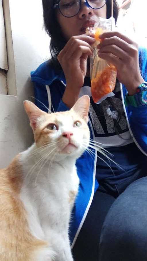 Bakso Pakde Solo 10