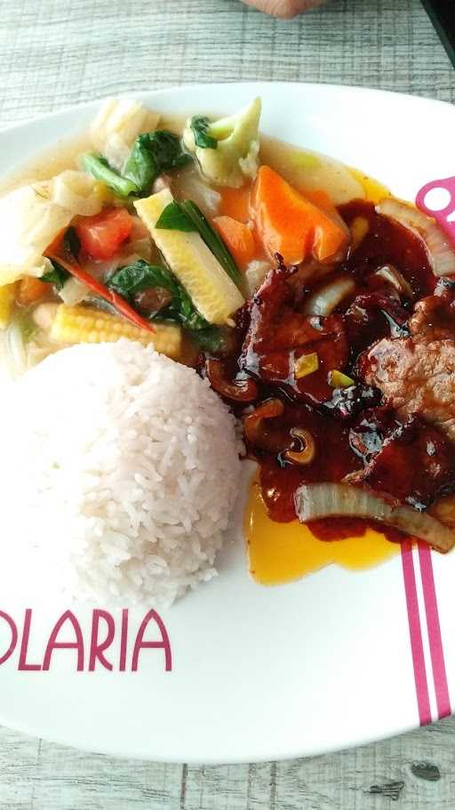 Solaria 4