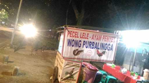 Ayam Penyet Purbalingga 2