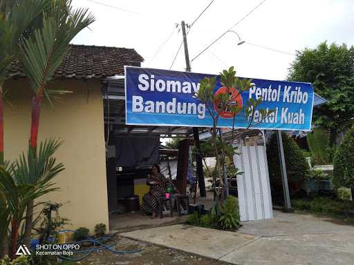 Warung Siomay Bandung & Pentolkribo 4