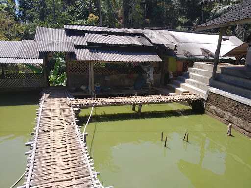 Bakar Ikan Jayanti 7