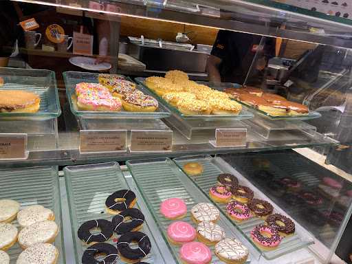 Jco Festival Citylink 7