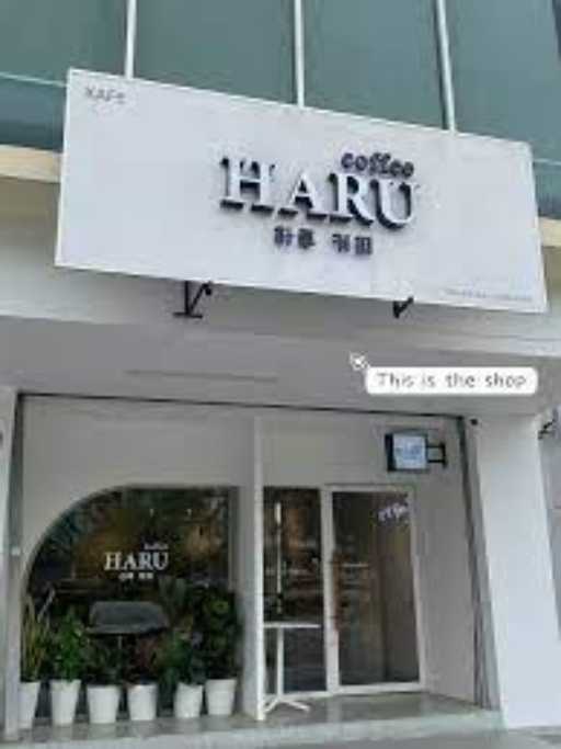 Haru Cafe 2