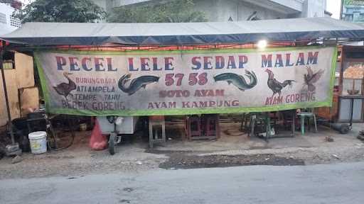 Pecel Lele Sedap Malam 5758 3