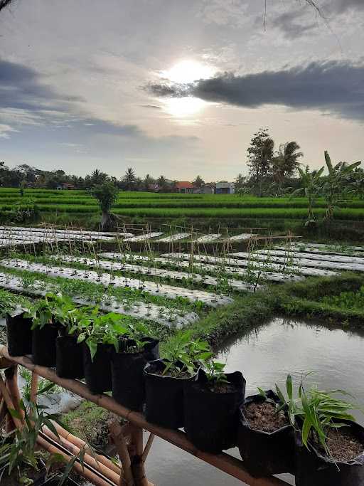 Saung Sanghiang Cekas Desa Cibarengkok 4