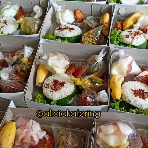 Alicia Katering (Prasmanan, Box, Snack, Dll) 10