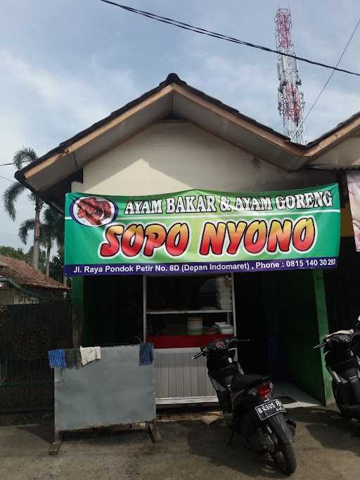 Ayam Bakar & Ayam Goreng Sopo Nyono 7