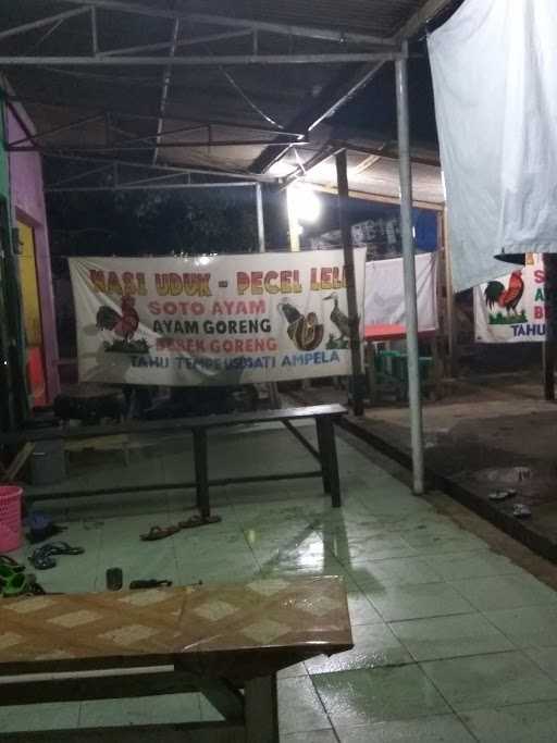 Pecel Lele Mas Alba 27 10