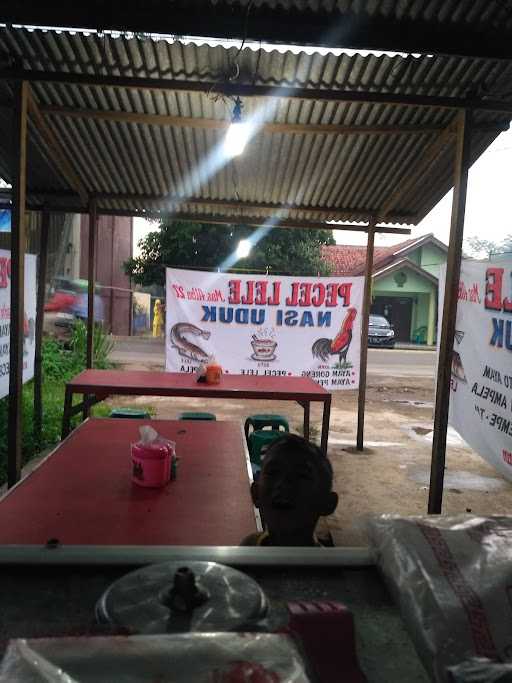 Pecel Lele Mas Alba 27 8