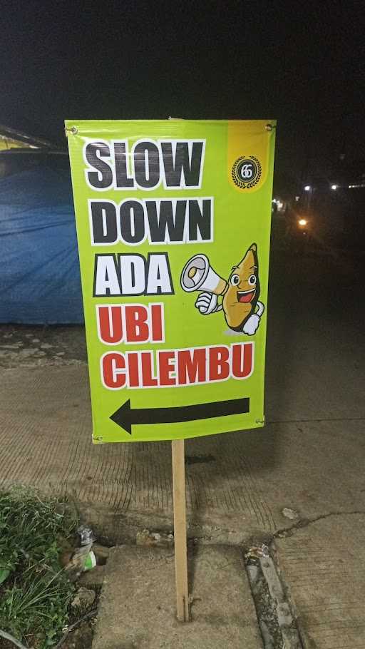 Ubi Bakar Madu Cilembu 2