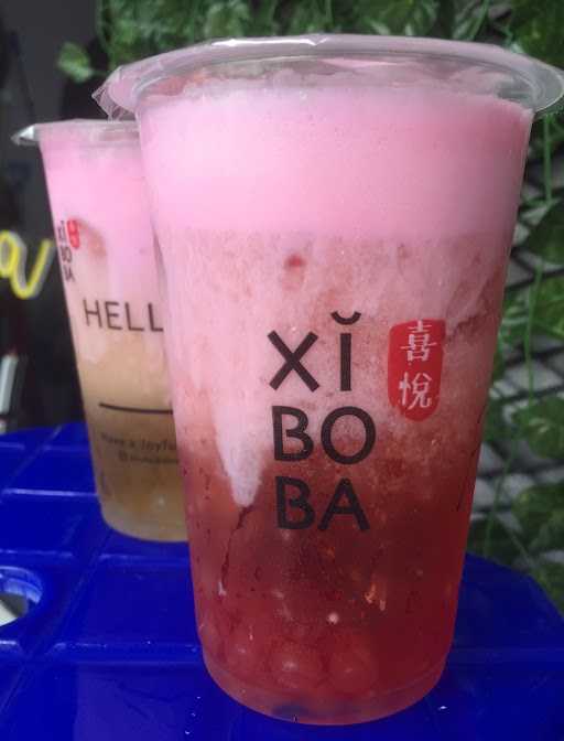 Xi Bo Ba 10