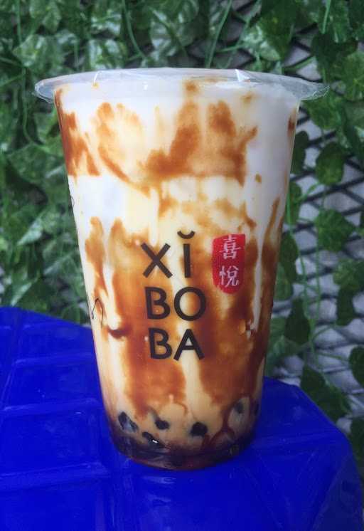 Xi Bo Ba 6