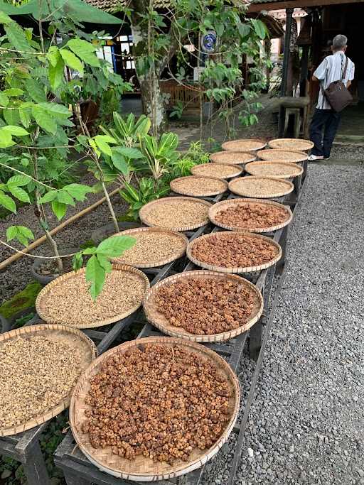 Pawon Luwak Coffee 7