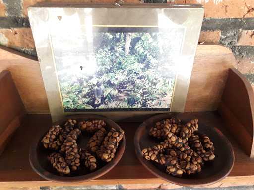 Pawon Luwak Coffee 9