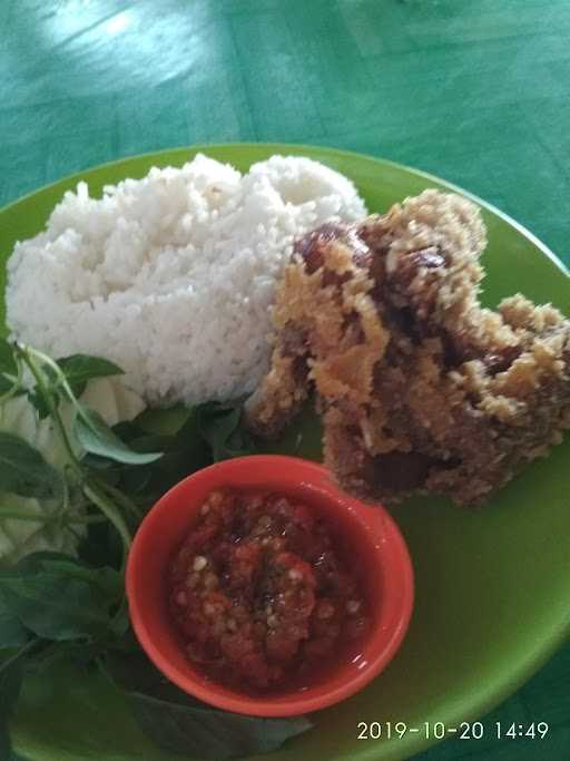 Bebek Ayam Bledek Asli 5